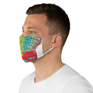 Fabric Face Mask