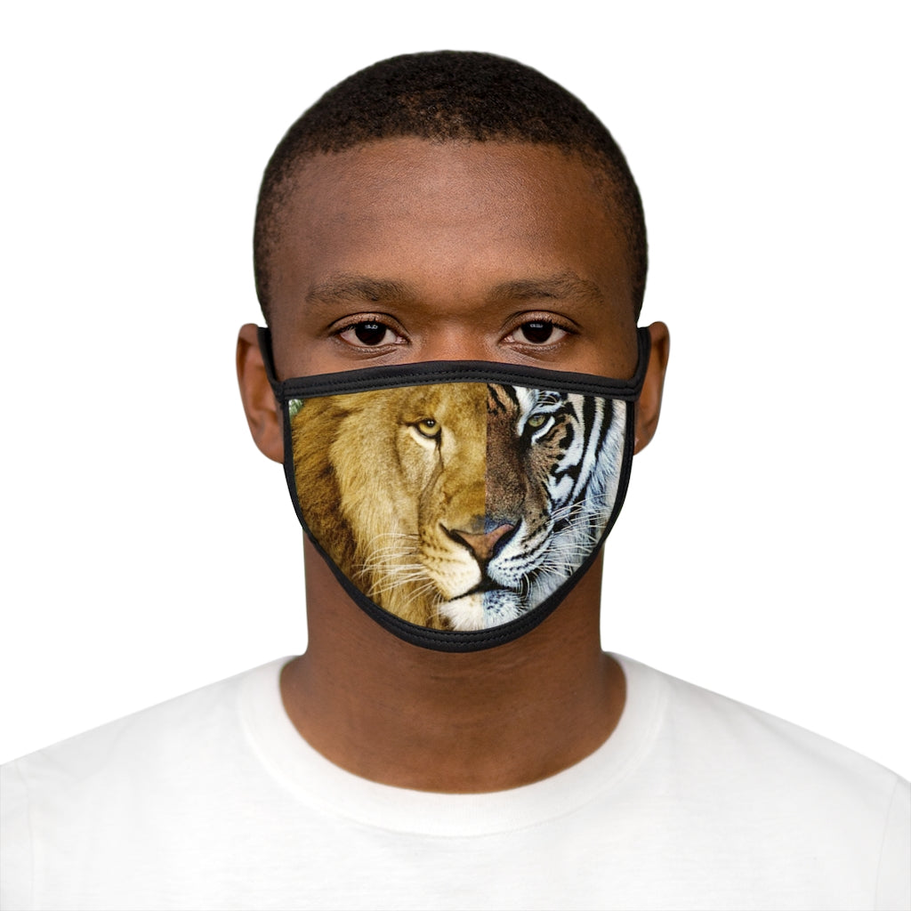 Mixed-Fabric Face Mask